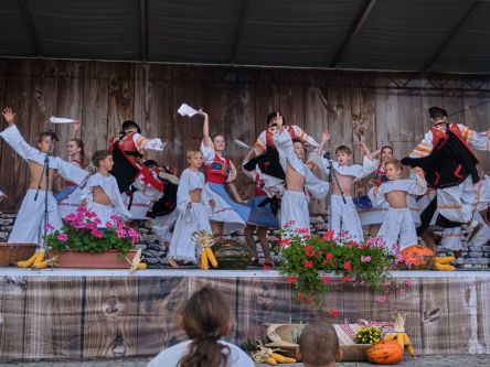 Mravenec-Kremienok00037