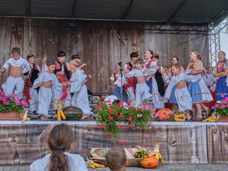 Mravenec-Kremienok00039