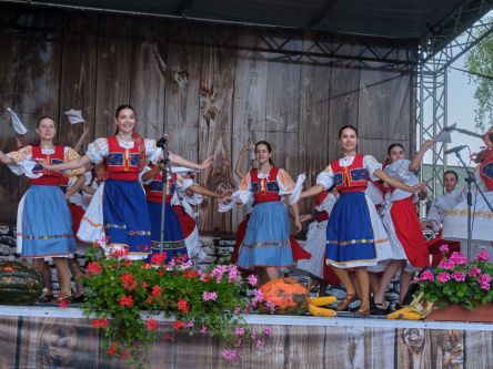 Mravenec-Kremienok00040