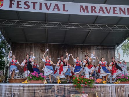 Mravenec-Kremienok00041