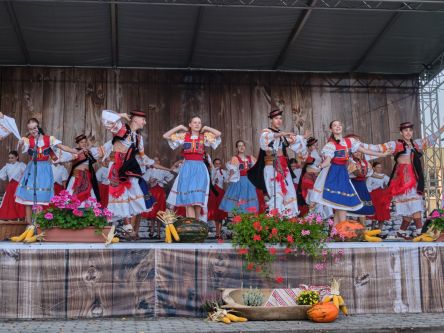 Mravenec-Kremienok00046