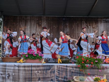 Mravenec-Kremienok00047