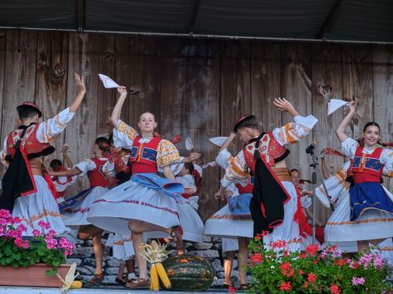 Mravenec-Kremienok00050